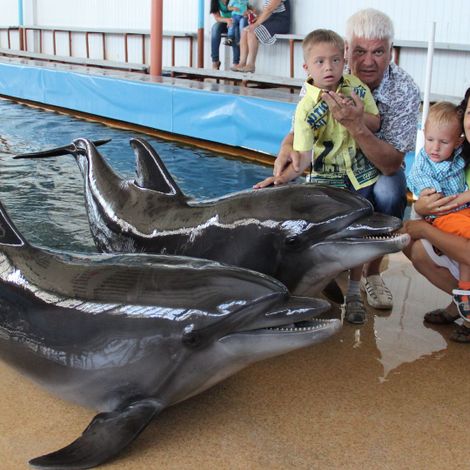 Всей семьёй в дельфинарии (участник Виктор Богатов)